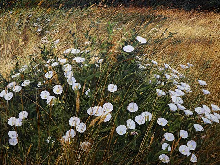 Vladimir Vojvodic - Landscape Oil Paintings